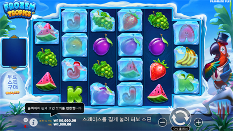 크리스마스 빅 배스 보난자